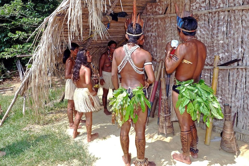 Amazon Rainforest, Brazil